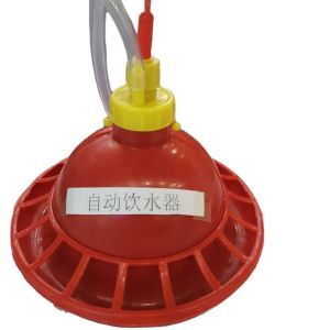 Automatic Plasson drinkers chicken water