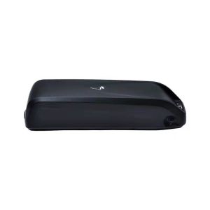 China manufacture Hot selling Electric bicycle lithium battery