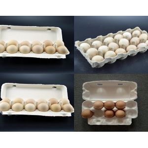 Waste Pulp Egg Tray carton Making Machine For Egg Packaging 350pcs/h-2500pcs/h