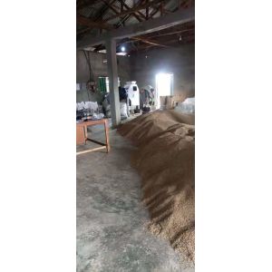 Mini Coffee Bean Color Sorter Machine 32 Chute With FPGA Chip