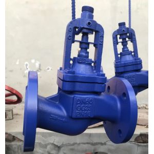 bellows globe valve with body material GG25 bonnet GS-C25