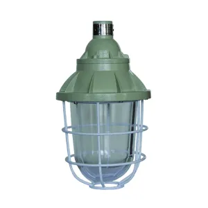 ATEX Certified Explosion Proof HID LED Light E27 Lamp Holder IP65 5000K Color Temp Copper Free Aluminum Housing UL