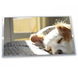 Quality a-Si TFT-LCD 5 inch 768(RGB)*1024 industrial control screen TX13D100VM0EAA high-quality services lcd display for sale