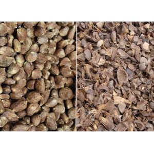 GELGOOG Machinery Palm Nut Shelling Machine Apricot Kernel Cracker Sheller