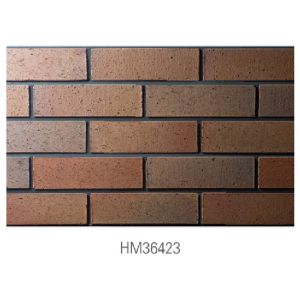 Building House Clay Exterior Brick Cladding Sintered / Extrusion
