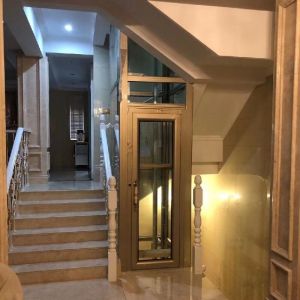 Quality Large-Cylinder Hydraulic Home Elevator with Microprocessor &amp; Sightseeing Cabin for sale