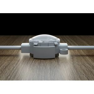 ROHS Dustproof DC12V 1w RGB Pixel Christmas Lights