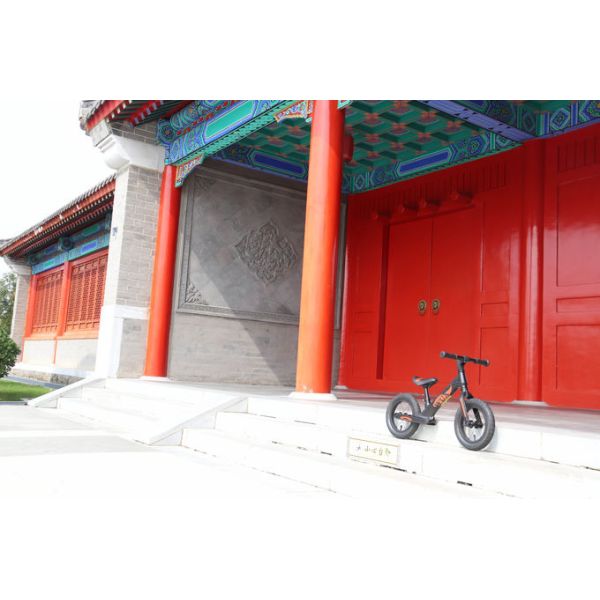 Alloy Frame Lightweight Childrens Bikes OEM With Plastic Wheels