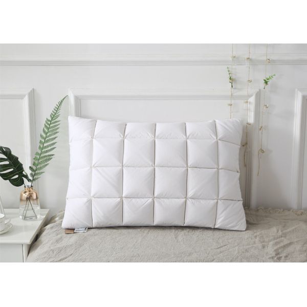 Buy Goose Down 240G 48cm*74cm Goose Feather Down Pillow at wholesale prices