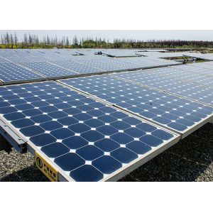 High Conversion Poly Crystalline Solar Panel 300 Wp Long Life Span