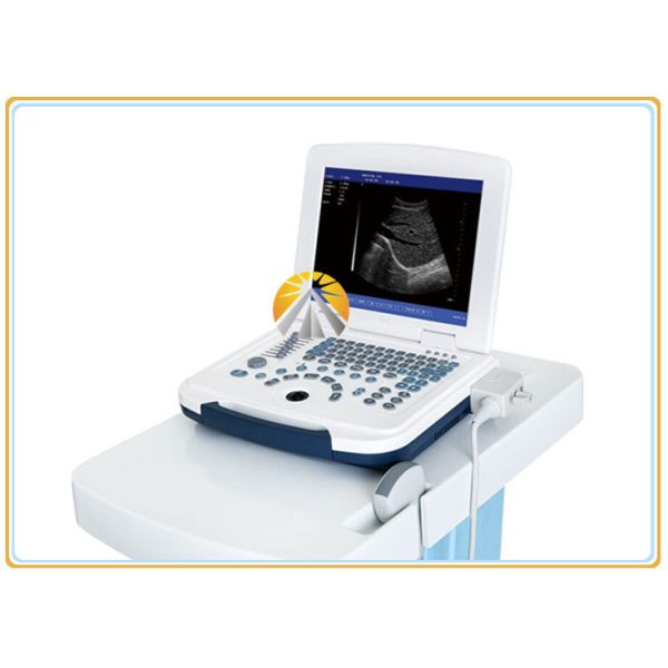 High Definition Digital Ultrasound Machine , Advanced Real Time Ultrasound