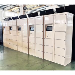China API Integration Laundry Locker With Electronic Locks With Remote Control on sale