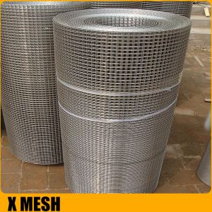 Galvanized/SUS304/SUS316 Stainless Steel Welded Wire Mesh for Wire Mesh Basket