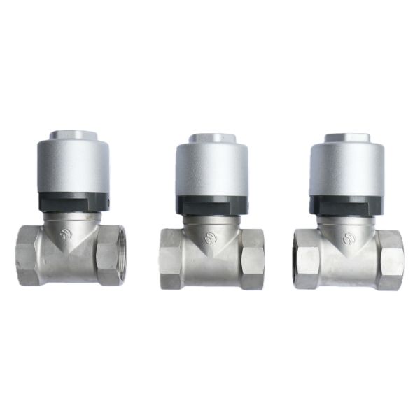 Backflow Prevention + Pressure Stabilization and Diversion Plunger Valve: