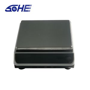 Customized Support High Precision Portable Kitchen Weighing Scale with LED LCD