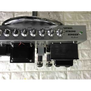 Custom Grand Tube Amplifier Head Steel String Singer SSS 100 in Purple Color