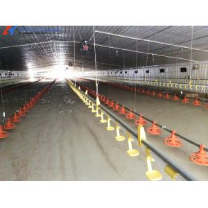 Convenient Assembly Automatic Chicken Feeder System , Broiler Chicken Drinking