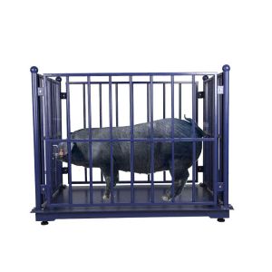 Anti Rust 3000KG Digital Livestock Scales With Fence