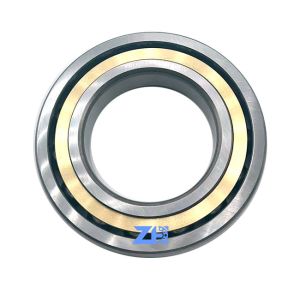 International Standard 7215ACJ Angular Contact Ball Bearing 7215ACM 7215BTN