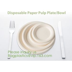 PLA Drinking Straws, CPLA Giant Straws, Individually Wrapped, Plant Based