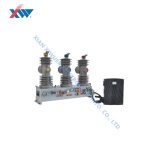 Mechanical Endurance 10000 Times 24kV Permanent Magnetic Mechanism Vacuum