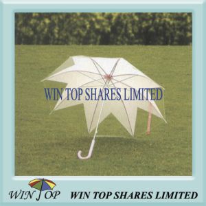 23 Auto Straight Steel Frame EVA Umbrella (WTP021)