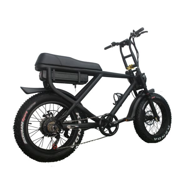 Removable Battery Full Suspension 1000W Electric Fat Bike with Lithium Power Supply