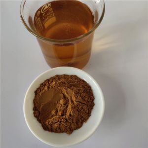 Chinese Herbal Saussurea Involucrata Extract/Snow Lotus Extract