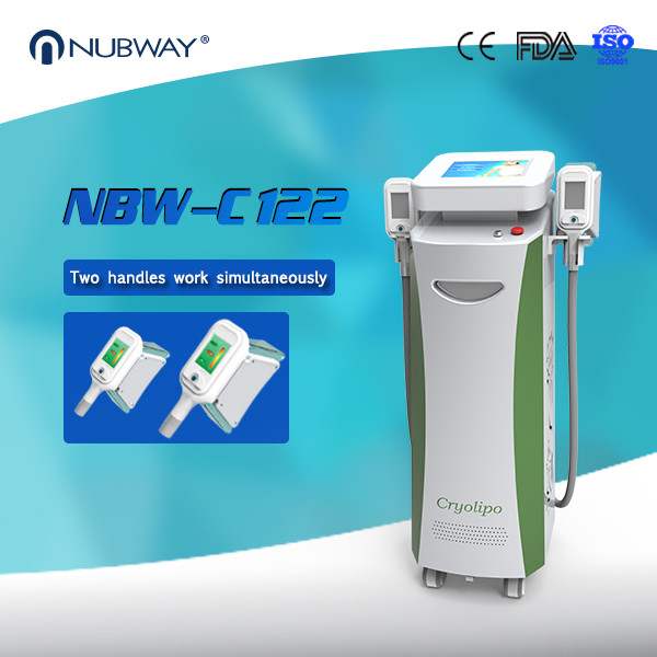 Buy Beauty Salon Equipment  Fat Freezing Cryolipolysis Body Slimming Machine at wholesale prices