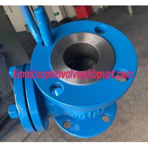 ANSI 150/300/600LB swing check valve with flanged
