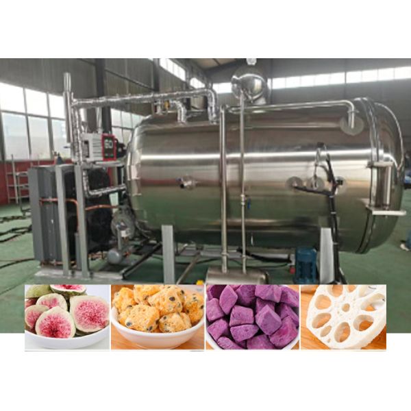 Buy 304 Stainless Steel Vacuum Freeze Dry Fruit Machine 100KG at wholesale prices