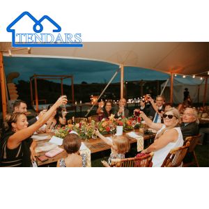 Waterproof, Fire-retardant, Sunlight proof Custom Clear Span Transparent Party