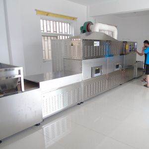 1000mm Belt Continuous Tunnel Dryer Microwave Sterilizer Industrial Drying