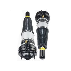 Front Air Suspension Shock Struts 4H0616039 For 09-19 Audi A6 S6 RS6 A7 S7 A8 D4