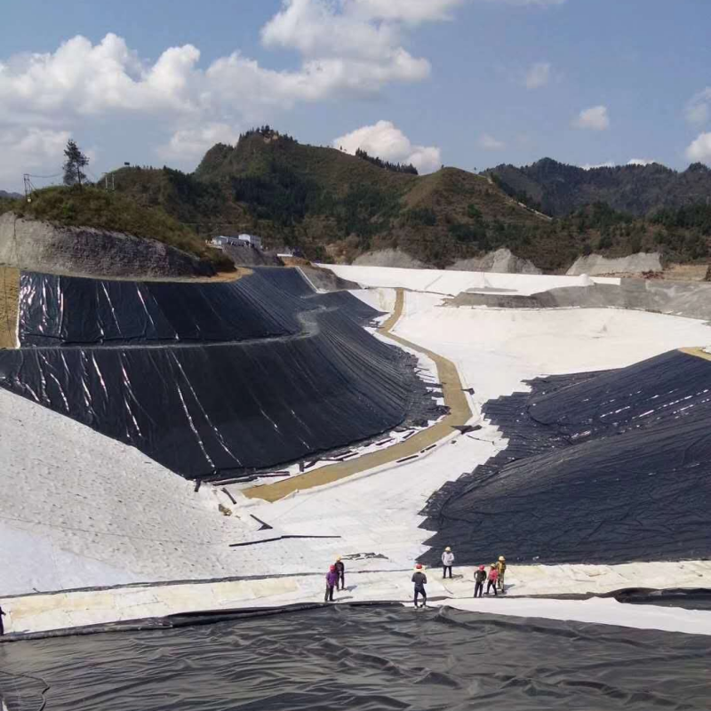 High Density HDPE Geomembrane Liner Sheet Waterproofing Membrane for Fish and