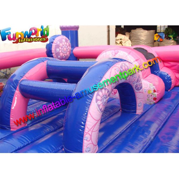 Amazing Fun Inflatable Amusement Park Princess Palace , Jumping Bouncer Playground