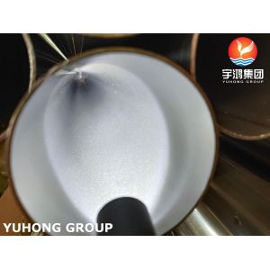 Heat Exchanger Tube ASTM A249 TP316 / TP316L Bright Annealed Stainless Steel