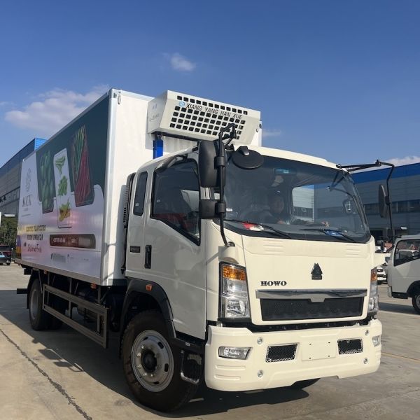 Buy 10 Tons Carry Capacity LHD RHD HOWO Freezer Truck With 6m Box at wholesale prices