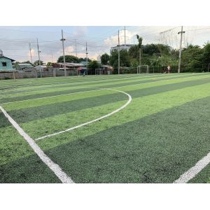 Green Carpet Roll 60mm Artificial Synthetic Grass Wear Resistance