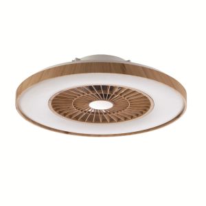 Quality Ceiling Fan Light(323115-6) for sale