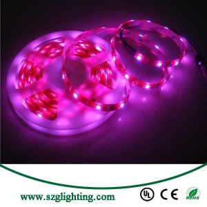 Flex LED Strip Light
