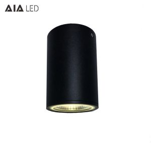 Quality Inside IP65 waterproof black 20W COB LED downlight&amp;LED light for bathroom for sale