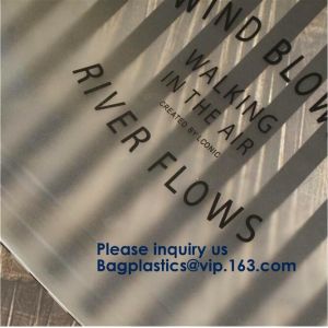 Hot Sale Waterproof Frosted Slider PVC Zipper Bags Wholesale Custom Printed