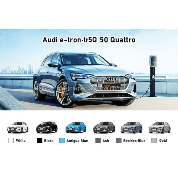 Energy Vehicle Audi E-Tron Maximum Power 230kW Vehicle Weight 2625kg from Chinese