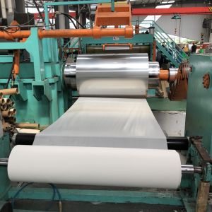 Spring Stainless Steel Strip Coil ASTM 301 500HV