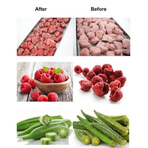 Hand Best Price Small Freeze Dryer Home Supermarket