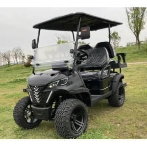 Brand New Lead Batteries EV Golf Cart Street Legal CE Approved Electric Golf