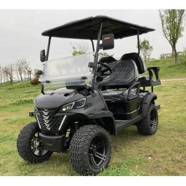 Brand New Lead Batteries EV Golf Cart Street Legal CE Approved Electric Golf
