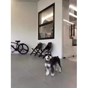 Alloy Household Aluminum Window Black Modern Aluminium Window Design Aluminium