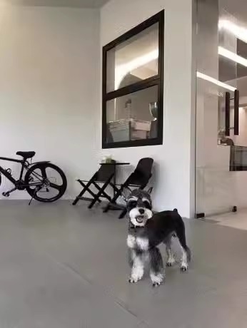 Alloy Household Aluminum Window Black Modern Aluminium Window Design Aluminium Bifolding Window